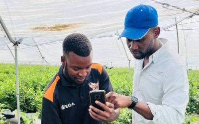Farmers turn to technology as they seek to boost yields