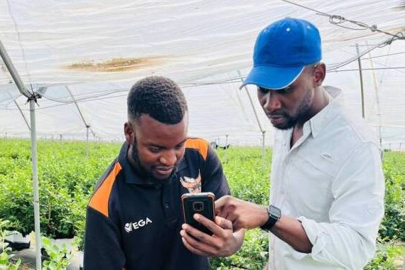 Farmers turn to technology as they seek to boost yields